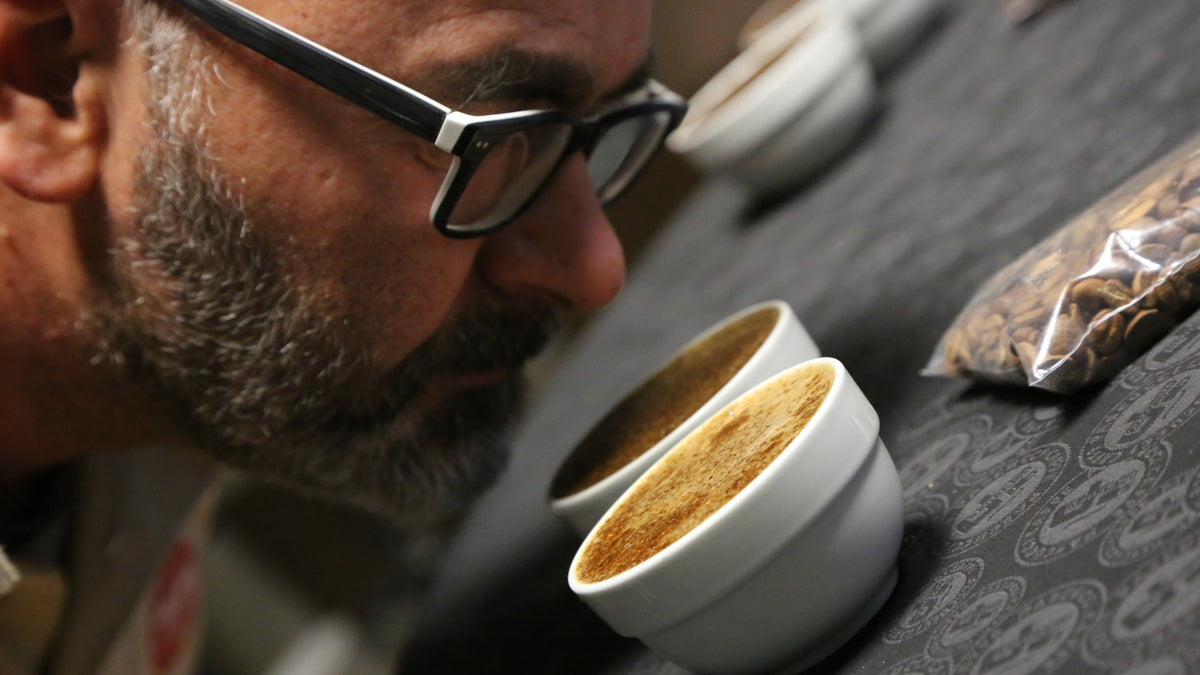 Assaggio del caffè in tazza durante il cupping