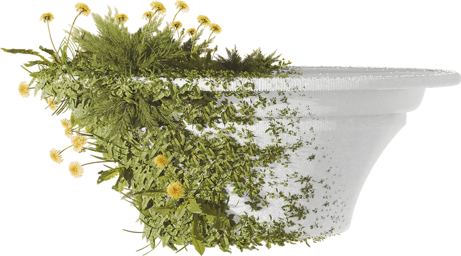 Capsula Nipple in fibra vegetale che si dissolve in erbe e fiori