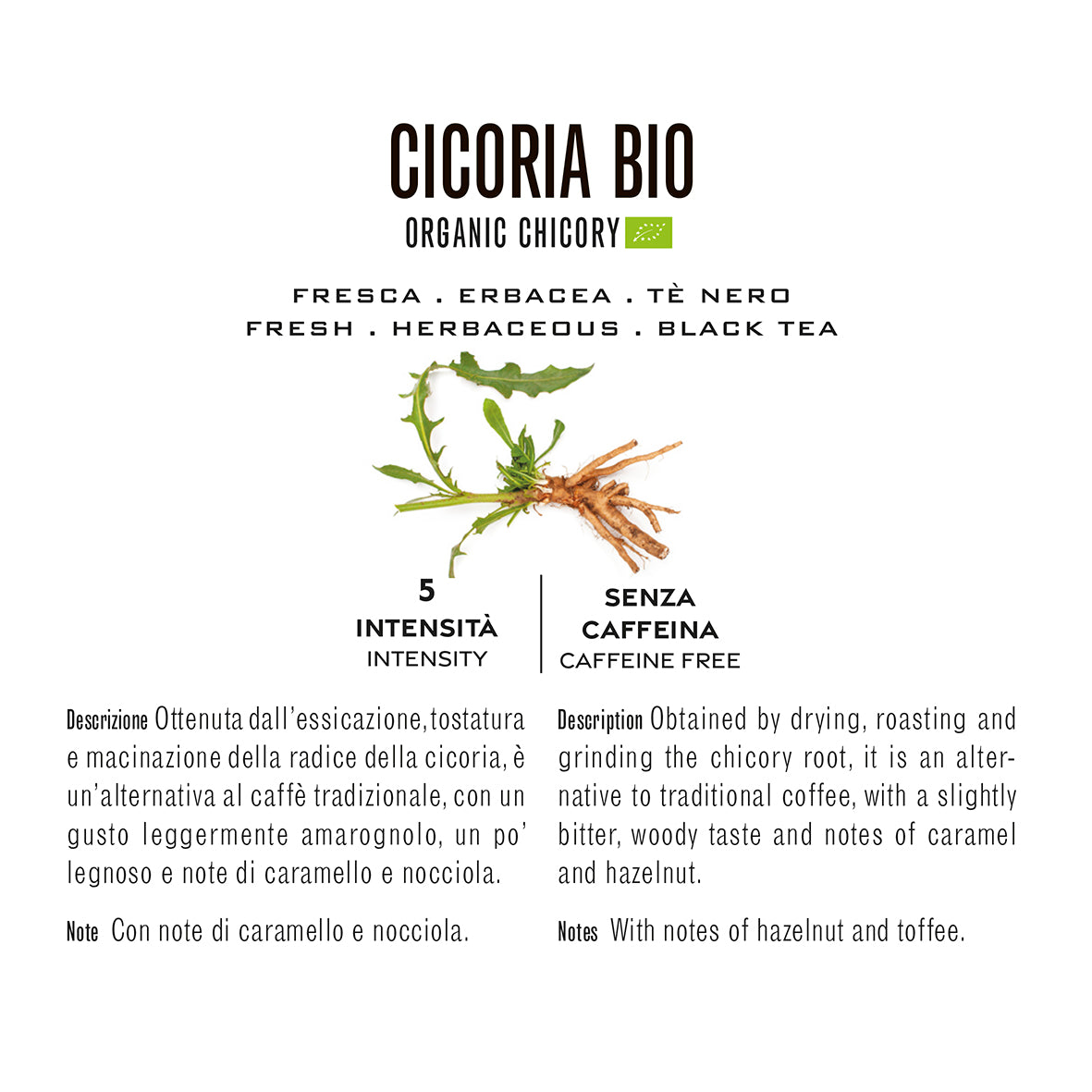 CICORIA BIO