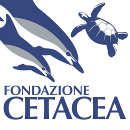 Fondazione Cetacea
