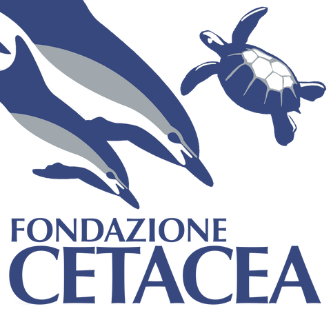 Fondazione Cetacea
